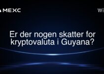 Er der nogen skatter for kryptovaluta i Guyana?