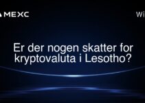 Er der nogen skatter for kryptovaluta i Lesotho?