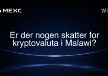 Er der nogen skatter for kryptovaluta i Malawi?