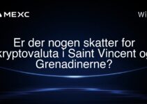 Er der nogen skatter for kryptovaluta i Saint Vincent og Grenadinerne?