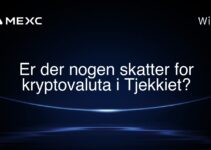 Er der nogen skatter for kryptovaluta i Tjekkiet?