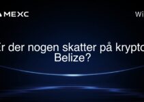 Er der nogen skatter på krypto i Belize?