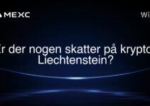 Er der nogen skatter på krypto i Liechtenstein?