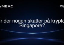 Er der nogen skatter på krypto i Singapore?