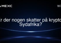 Er der nogen skatter på krypto i Sydafrika?