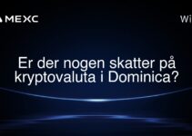 Er der nogen skatter på kryptovaluta i Dominica?