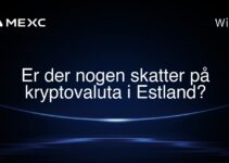 Er der nogen skatter på kryptovaluta i Estland?