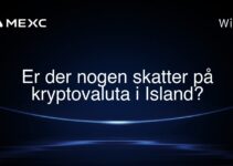 Er der nogen skatter på kryptovaluta i Island?