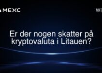 Er der nogen skatter på kryptovaluta i Litauen?