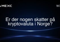 Er der nogen skatter på kryptovaluta i Norge?