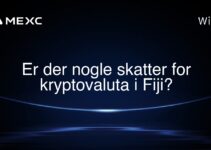 Er der nogle skatter for kryptovaluta i Fiji?
