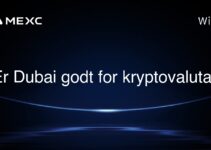 Er Dubai godt for kryptovaluta?