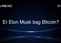 Er Elon Musk bag Bitcoin?