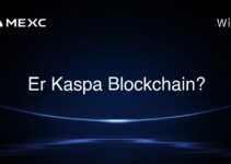 Er Kaspa Blockchain?