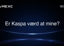 Er Kaspa værd at mine?