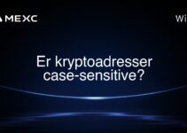 Er kryptoadresser case-sensitive?