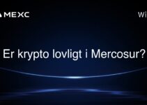 Er krypto lovligt i Mercosur?