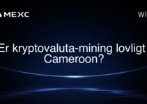 Er kryptovaluta-mining lovligt i Cameroon?