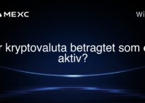 Er kryptovaluta betragtet som en aktiv?
