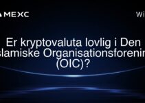 Er kryptovaluta lovlig i Den Islamiske Organisationsforening (OIC)?