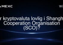 Er kryptovaluta lovlig i Shanghai Cooperation Organisation (SCO)?