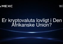 Er kryptovaluta lovligt i Den Afrikanske Union?