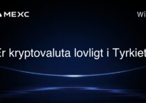 Er kryptovaluta lovligt i Tyrkiet?
