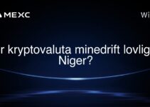 Er kryptovaluta minedrift lovligt i Niger?