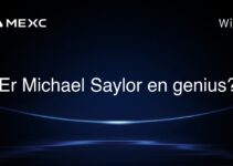 Er Michael Saylor en genius?