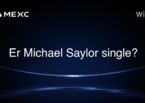 Er Michael Saylor single?