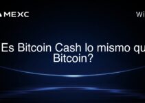 ¿Es Bitcoin Cash lo mismo que Bitcoin?