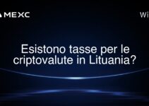 Esistono tasse per le criptovalute in Lituania?
