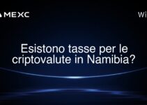 Esistono tasse per le criptovalute in Namibia?
