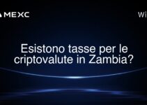 Esistono tasse per le criptovalute in Zambia?