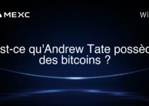 Est-ce qu’Andrew Tate possède des bitcoins ?