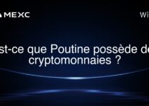 Est-ce que Poutine possède des cryptomonnaies ?