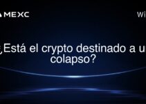 ¿Está el crypto destinado a un colapso?
