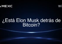 ¿Está Elon Musk detrás de Bitcoin?