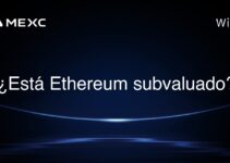 ¿Está Ethereum subvaluado?