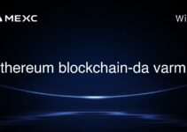 Ethereum blockchain-da varmı?
