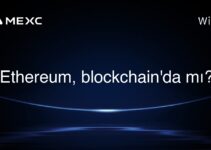 Ethereum, blockchain’da mı?