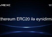 Ethereum ERC20 ilə eynidirmi?