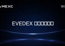 EVEDEX 创始人是谁？