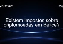 Existem impostos sobre criptomoedas em Belice?
