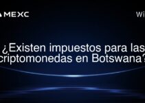 ¿Existen impuestos para las criptomonedas en Botswana?
