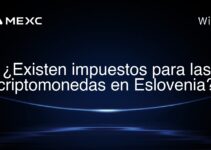 ¿Existen impuestos para las criptomonedas en Eslovenia?