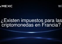 ¿Existen impuestos para las criptomonedas en Francia?