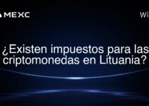 ¿Existen impuestos para las criptomonedas en Lituania?