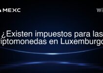 ¿Existen impuestos para las criptomonedas en Luxemburgo?
