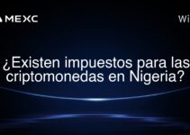 ¿Existen impuestos para las criptomonedas en Nigeria?